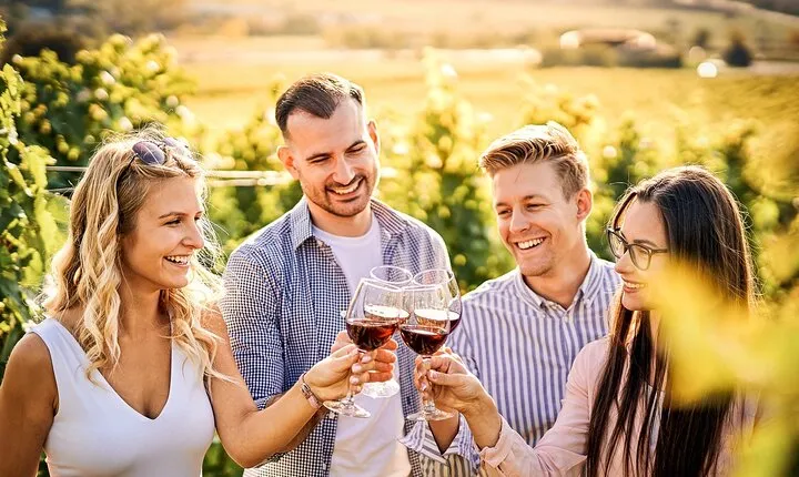 Wine and Bike Private Tour