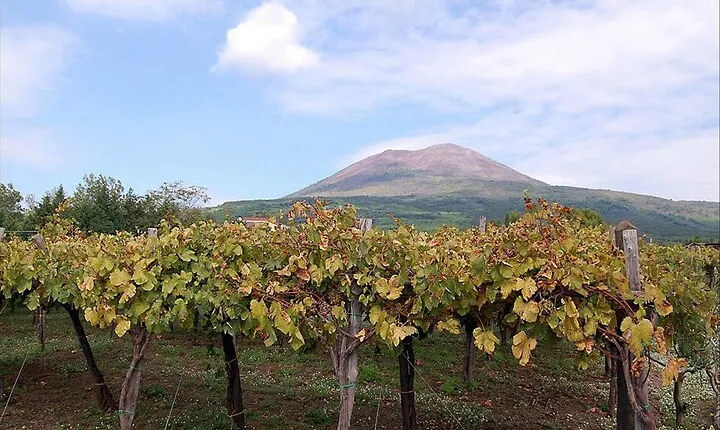 Pompeii & Vesuvius SkipTheLine Lunch and WineTasting from Rome