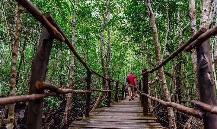 Visit a Spice Farm and hike Jozani Forest to Help Zanzibar People