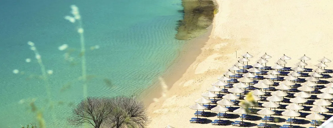 Lazy Cruise to Paradise Beach