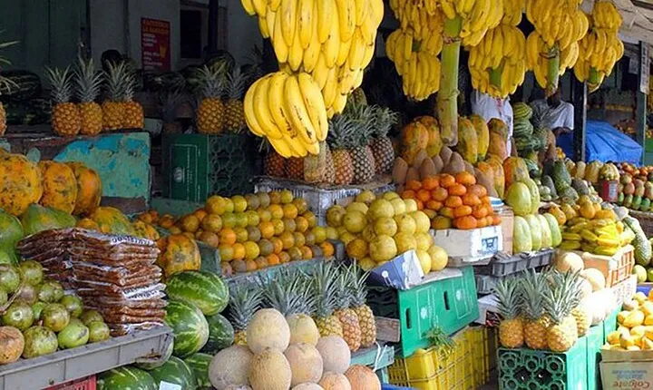 Small Group: Half Day Punta Cana Cultural Tour