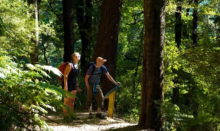 Self-Guided Queen Charlotte Track Walk from Picton