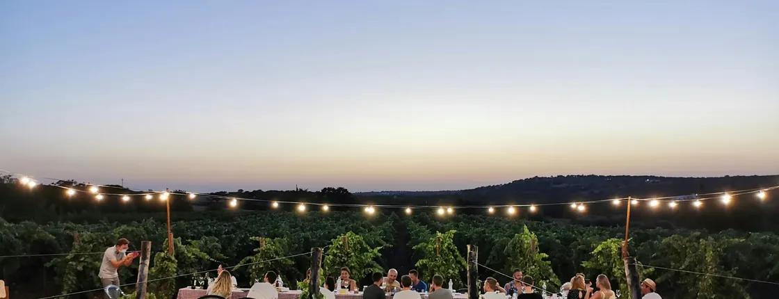 Vineyard dinner with wine-pairing in Valle d’Itria