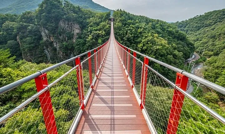 DMZ Tour: 3rd Tunnel, Option(Suspension Bridge, Boat) from Seoul