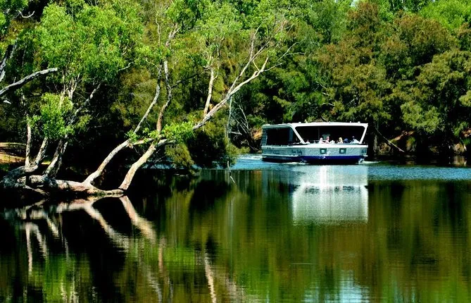 Perth River Cruise and Vineyard Experience: Best of Both Worlds