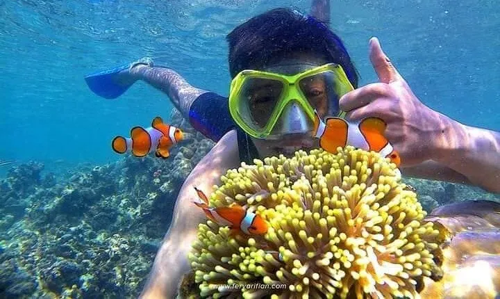 Bali : Blue Lagoon Snorkeling - All inclusive