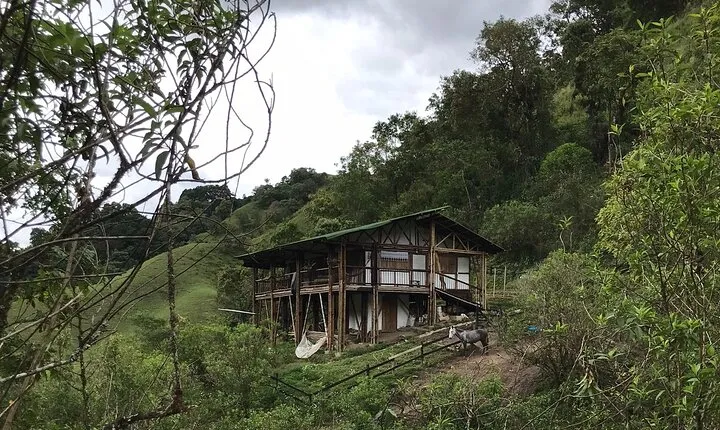 Ancestral journey through 'Alto Quindío'