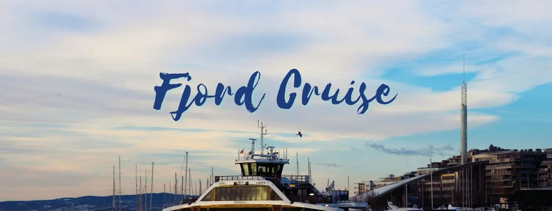 Oslo Fjord sightseeing audio-guided electrical boat tour