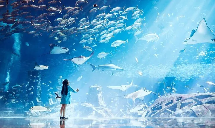 Dubai The Lost Chambers Aquarium Entrance Ticket