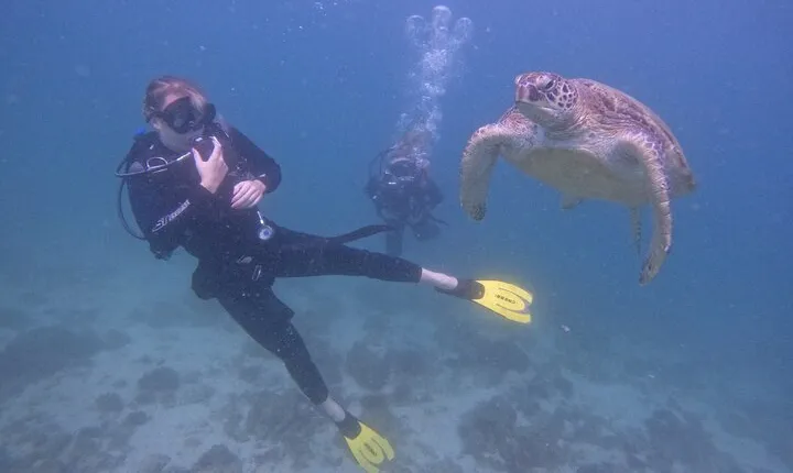 From Dubai: Dive and Stay 5-Dives Trip with BBQ, Transfers