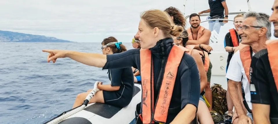 Whale and Dolphins Experience in Madeira