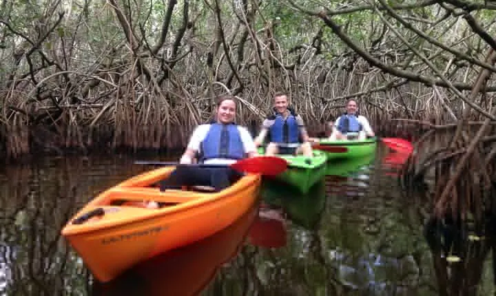 Marco Island Mangrove Tunnel and Maze Adventure Small group size