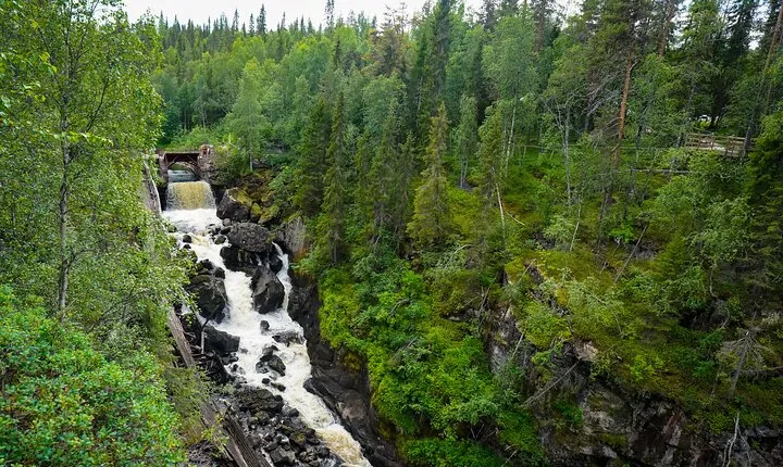 From Rovaniemi: Auttikongas Wilderness Hike