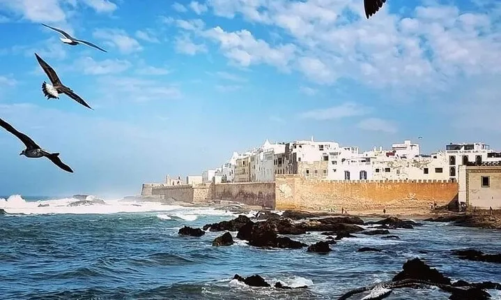 Guided Essaouira day trip from Agadir & Taghazout
