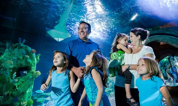 Sea Life Charlotte Concord Aquarium Admission Ticket