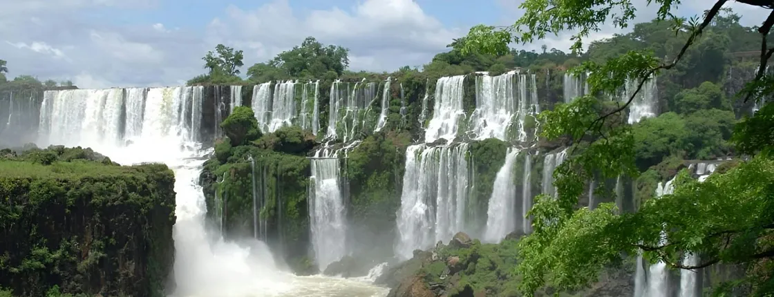 2-day rainforest exploration with Guaraní heritage and wildlife rescue