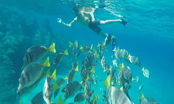 Land's End & Snorkel Tour in a Glass Bottom Boat (VisitA Cabo)