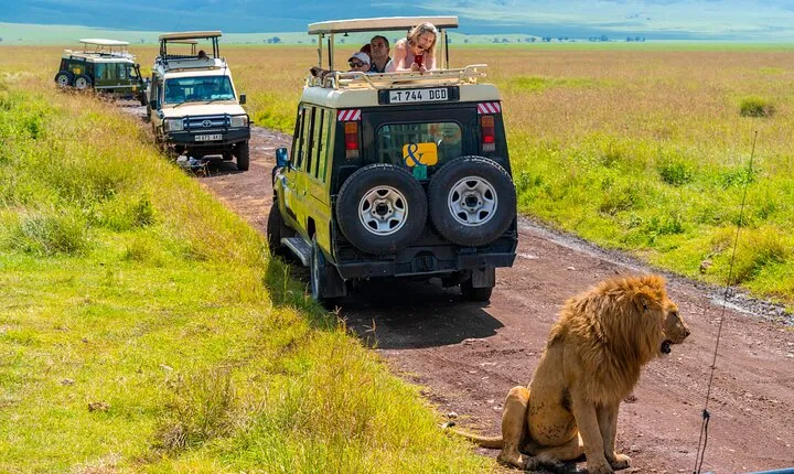 3 days Luxury Safari Tour in Tanzania