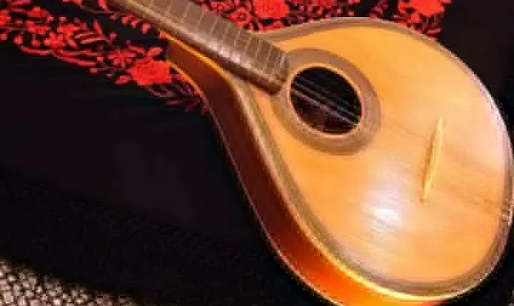 Semi Private Oporto Fado Show with Dinner