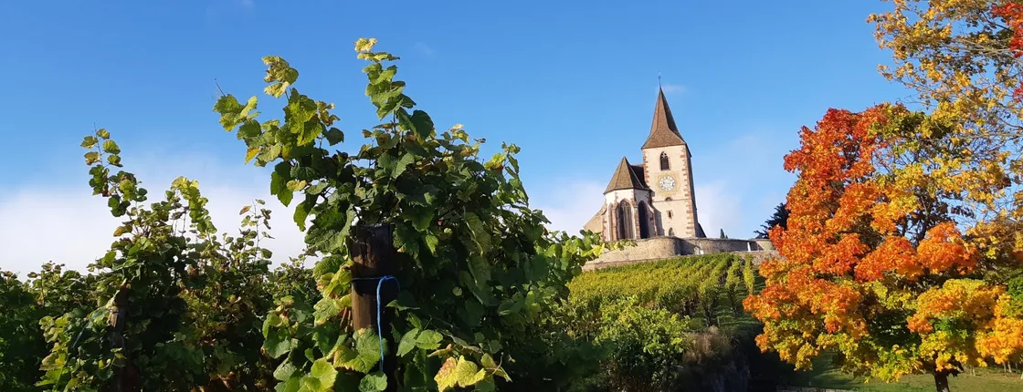 Half-day afternoon tour of Hunawihr, Riquewihr and wine tasting