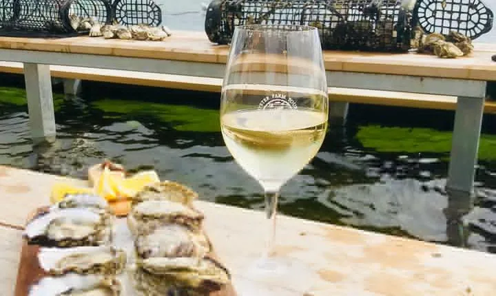 Coffin Bay Oyster Farm Wading Tour & Tasting Experience