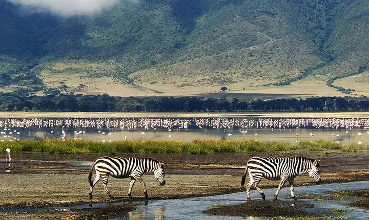 Ngorongoro Day Trip