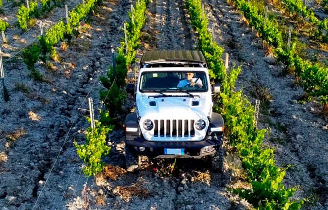 Safari Wine Tour