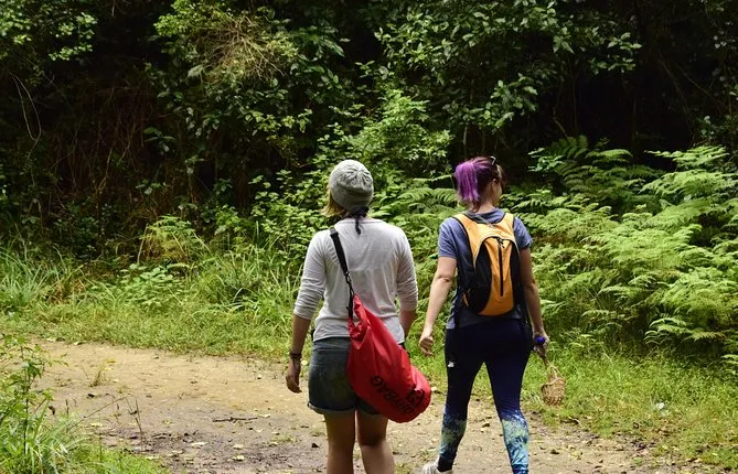 Guided Hiking Trial - PEPSI POOLS