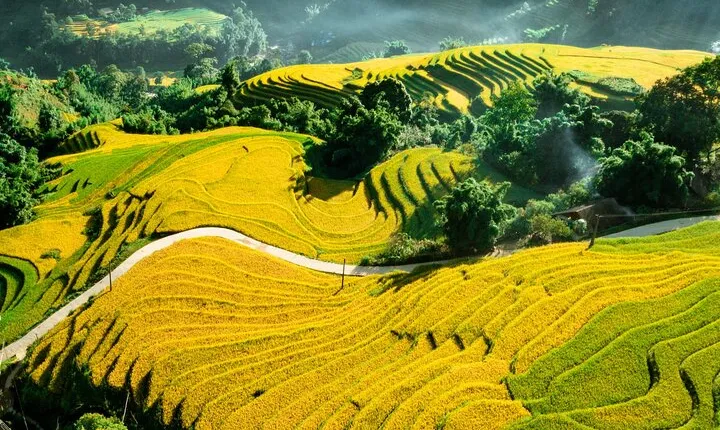 5-Day North Vietnam: Hanoi -Halong Bay -Ninh Binh-Sapa from Hanoi