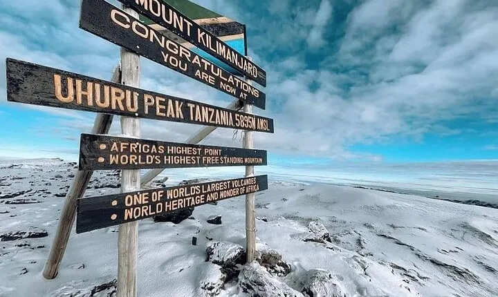 Climbing Kilimanjaro - 9 Day Northern Circuit