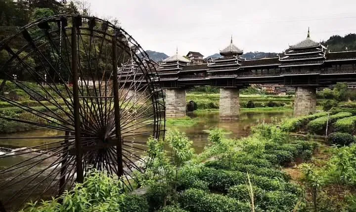 6-Day private tour to Xiamen,Guilin,Longji Rice Terraces,Sanjiang and Yangshuo