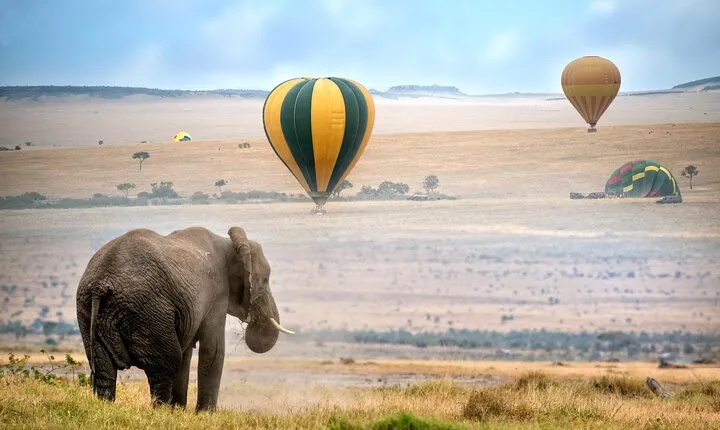 5-Day Safari Tour with Kilimanjaro day Hiking in Tanzania