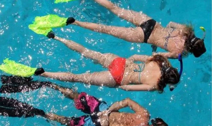 Miami: Snorkeling Experience 