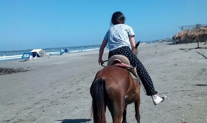 Horse Riding in Cartagena