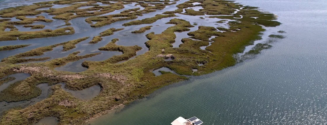 Algarve eco-friendly solar boat trip in Ria Formosa from Faro