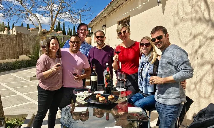 Private Winery Tour near Madrid with Sommelier (6-hour)