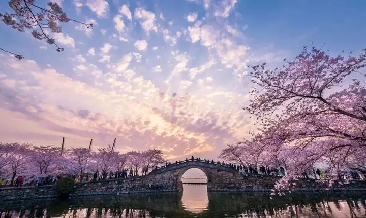 Wuxi Lingshan Buddhist Scenic Spot and Tai Lake Private Tour