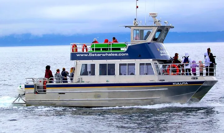 Victoria Whale Watching Cruise with Expert Naturalists