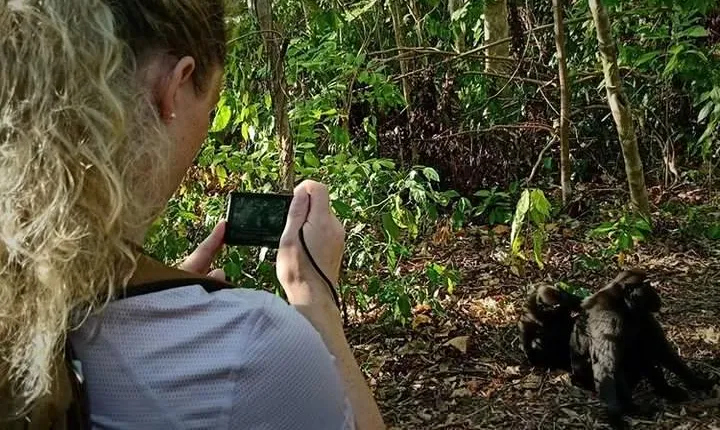 Tangkoko Overnight (2D1N)