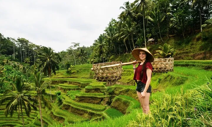 Best of Ubud 1-Day Private Tour