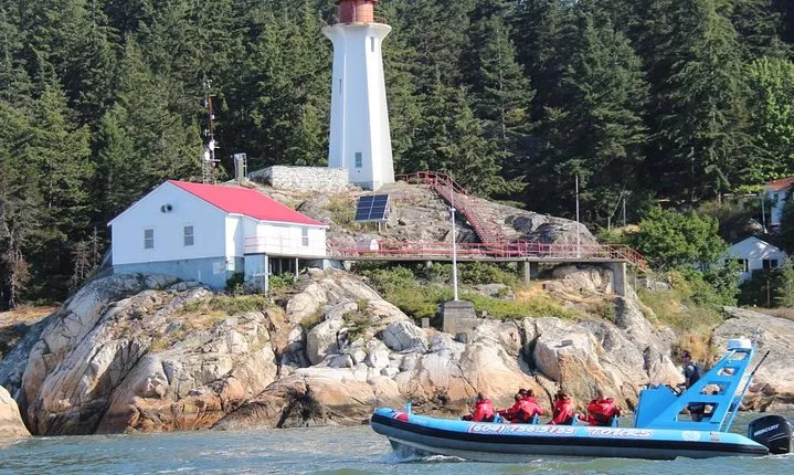 Vancouver City and Seals Scenic Boat Tour by Vancouver Water Adventures