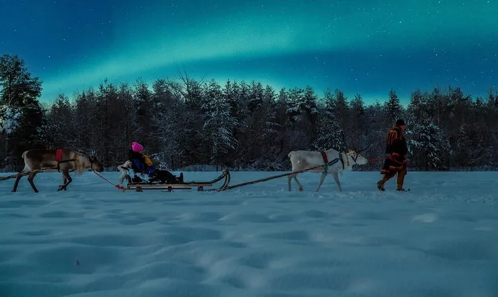 Reindeer sleigh ride across the night in Apukka Resort Rovaniemi