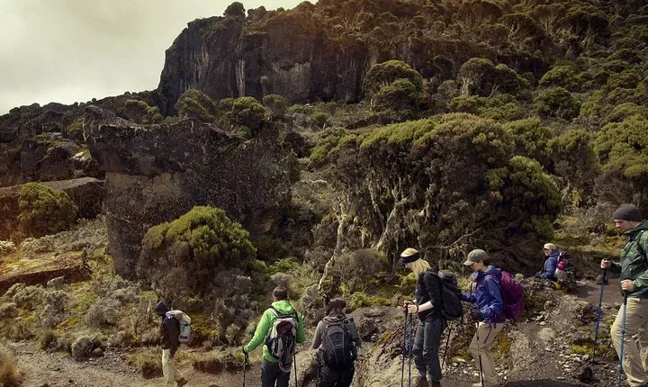 6Days _Hiking _Machame _Route _Kimanajaro _Mountain