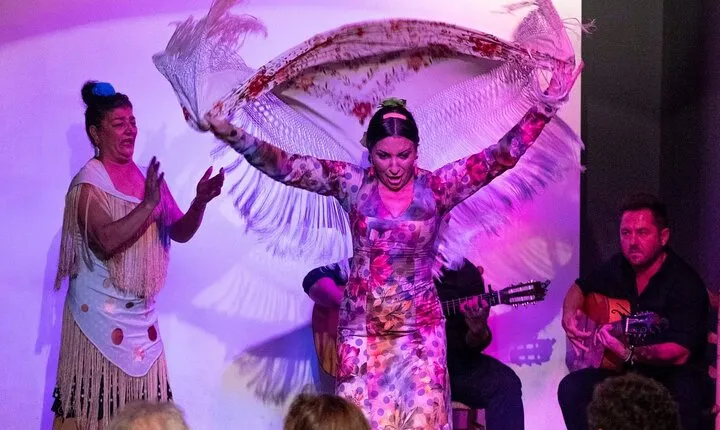 Flamenco show at the foot of the Giralda in Seville