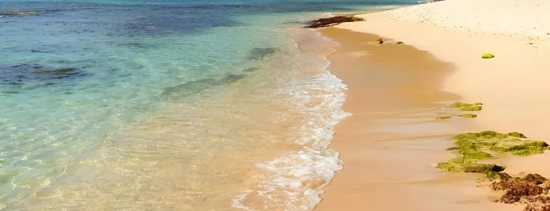 Full-day Bahía Concha and Tayrona Park guided tour with lunch