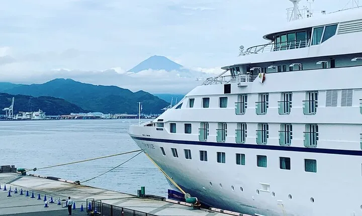 Private Sightseeing Tour from Shimizu Port / Sedan Taxi