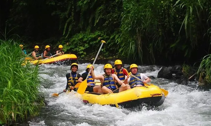 Ubud White Water Rafting with Private Transfer & Lunch