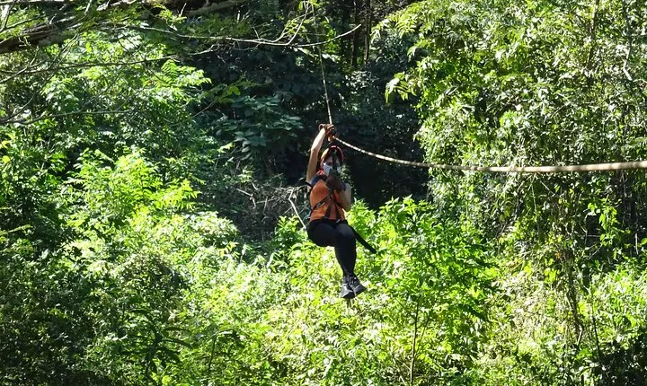 Costa Rica Monkey Jungle Zipline from Tamarindo