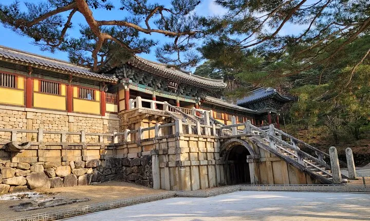 One Day Private tour to World Heritage GyeongJu from Busan