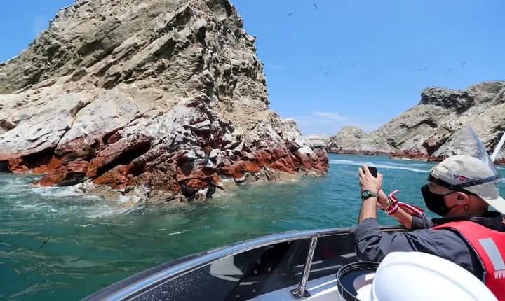 PARACAS! Ballestas Islands + Paracas National Reserve + Candelabro and much more